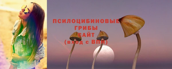 прущий лед Богородск