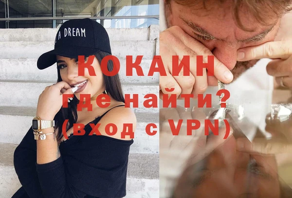 бошки Белокуриха