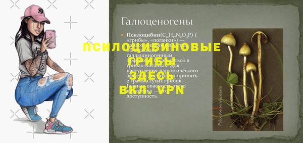 прущая мука Богданович
