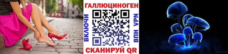 Галлюциногенные грибы Psilocybine cubensis  купить закладку  Светогорск 
