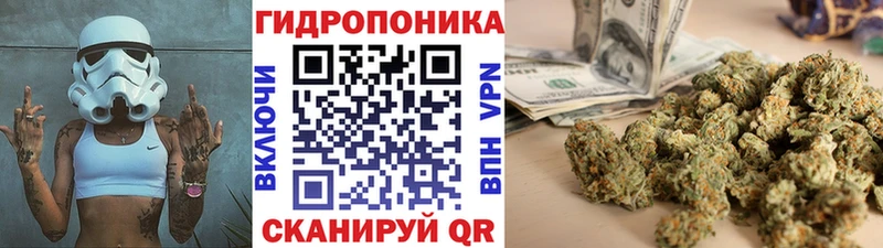 нарко площадка клад  Светогорск  МАРИХУАНА LSD WEED  магазин  наркотиков 